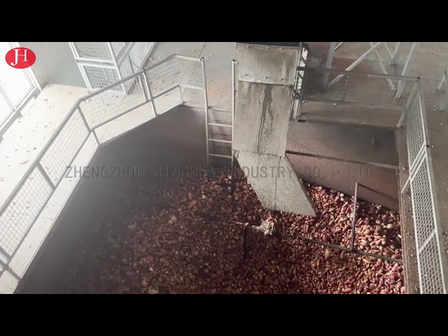 CHINA SS die Bataatzetmeel schoonmaken die Machine 25t/H 18.5kw maken te koop