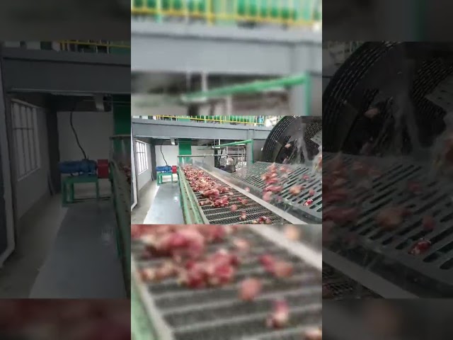 CHINA De elektrische van de het Materiaalmaniok van de Alcoholproductie van de het Zetmeelpeddel Schoonmakende Machine te koop