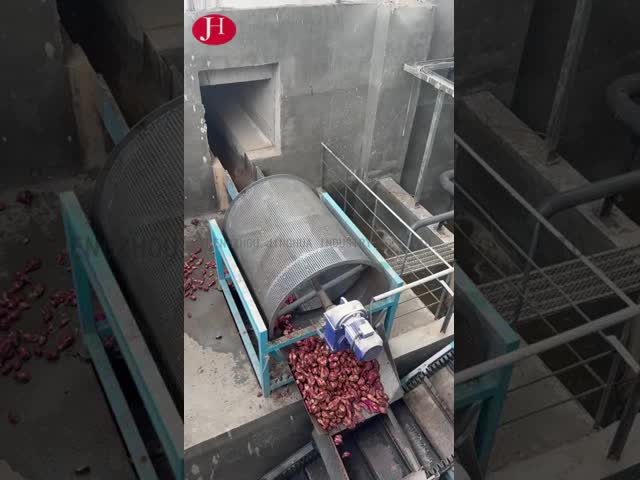 CHINA PLC-besturing Zoet aardappelzetmeelprocessor Voor het reinigen van frezen Verpakking Verwerking Type voor industriële toepassingen te koop