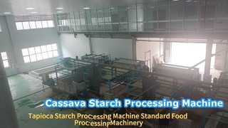 Cassavezetmeelverwerkingsmachine Complete productieapparatuur voor tapiocaknollen